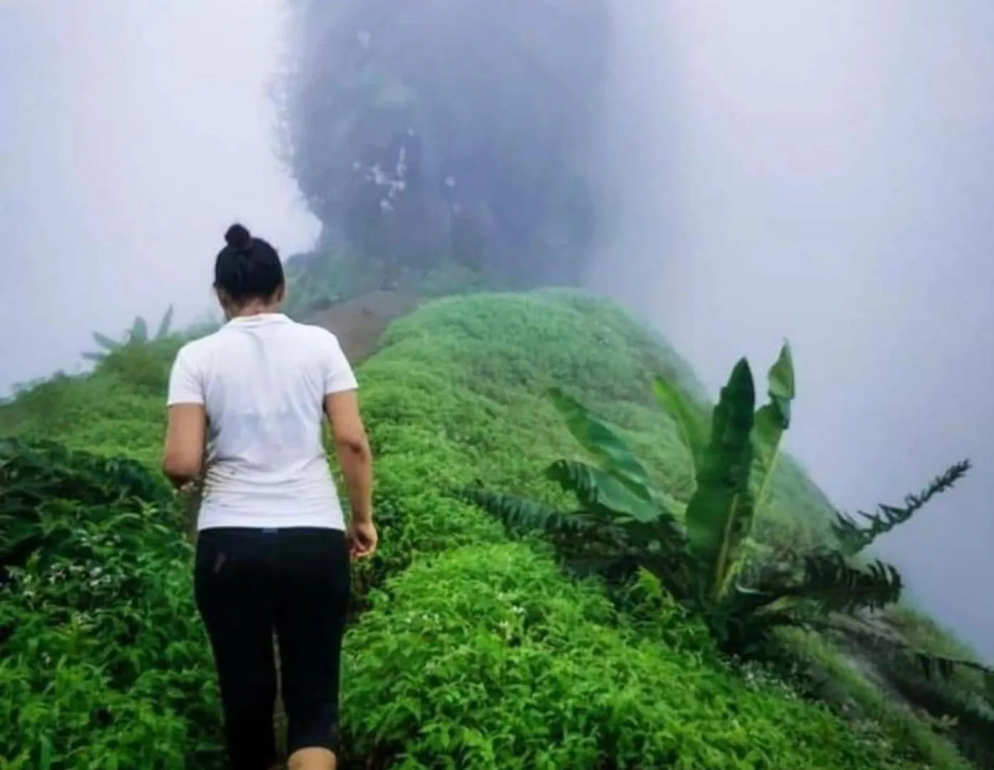 The Svarga Hill View Resort Munnar