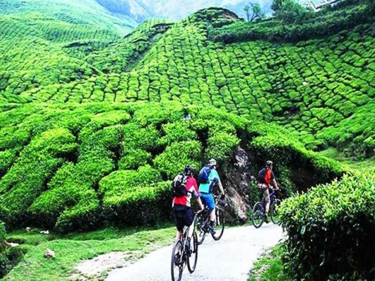 호텔 The Svarga Munnar Hill View Resort