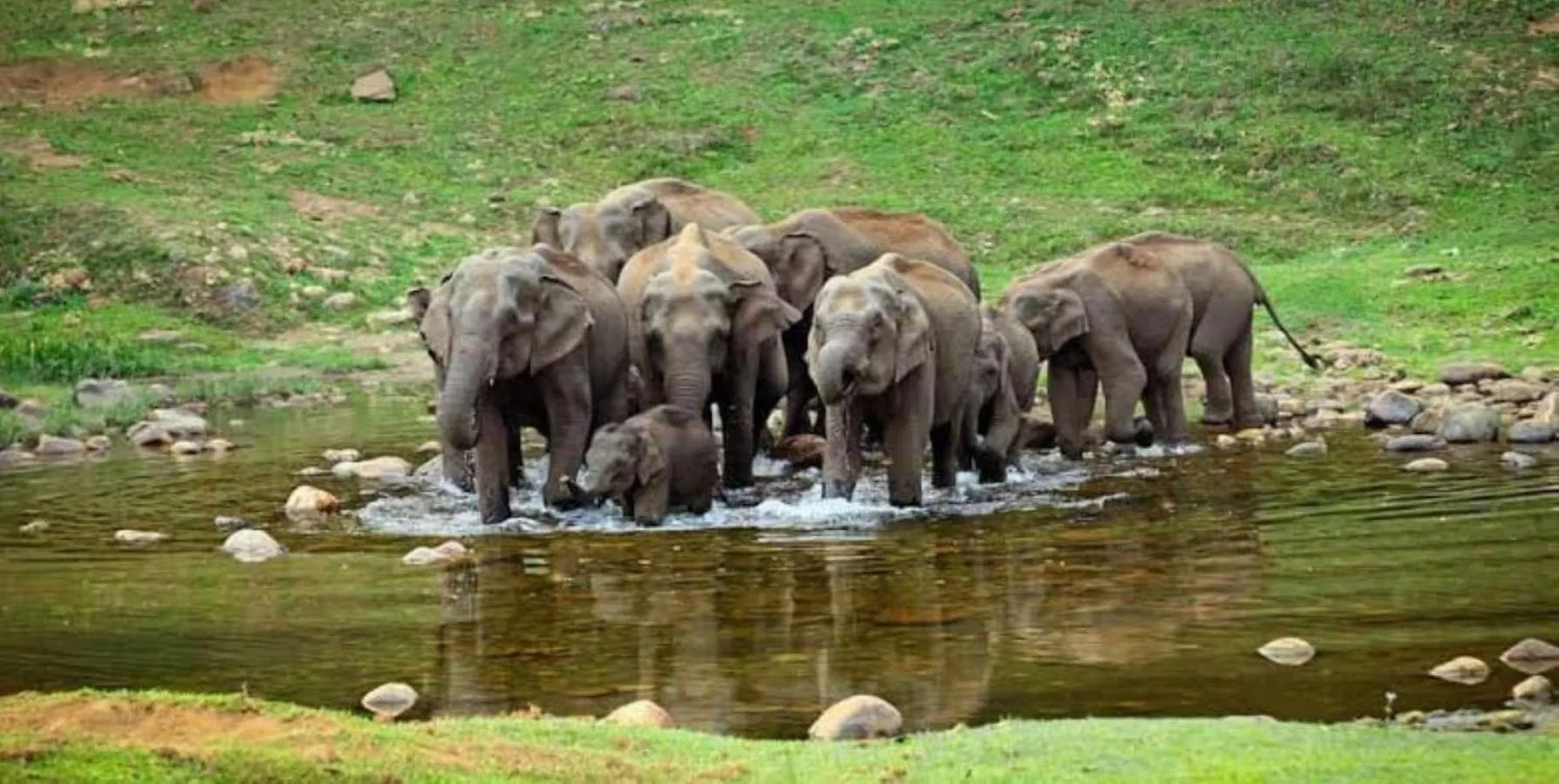 The Svarga Munnar Hill View Resort 호텔