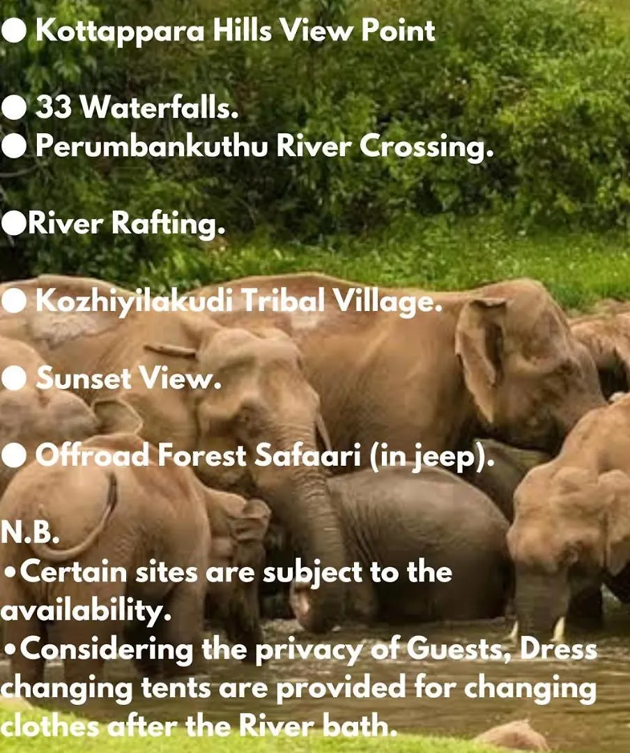 The Svarga Munnar Hill View Resort