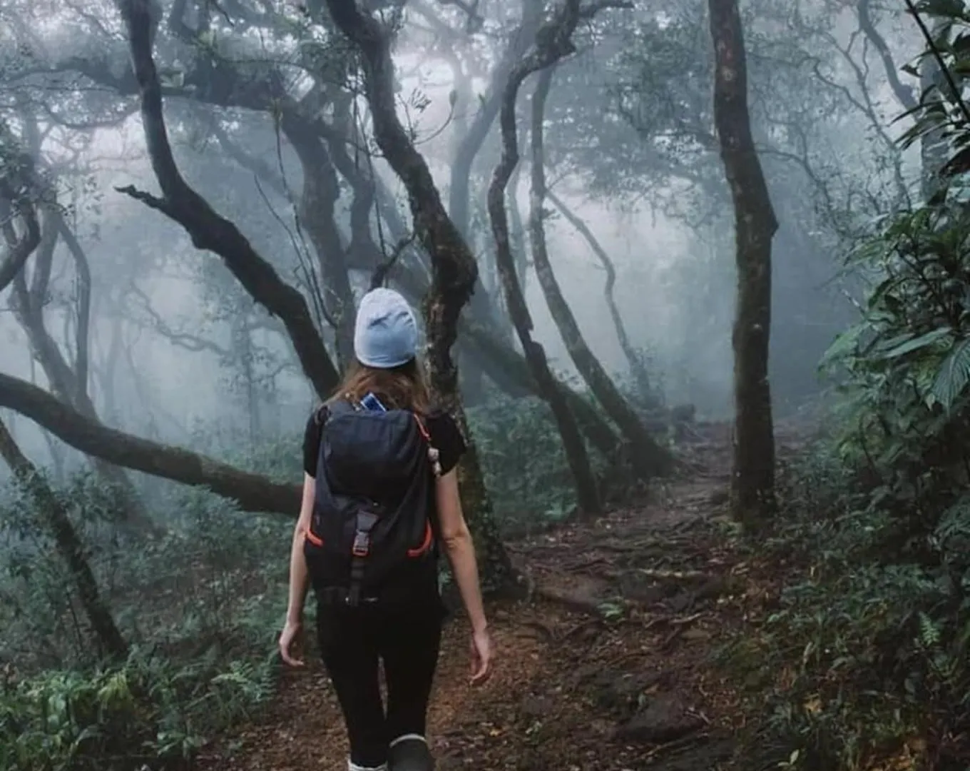 호텔 The Svarga Munnar Hill View Resort